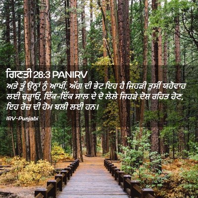 Picture 02 - ਗਿਣਤੀ 28:3 PANIRV - ਅਤੇ ਤੂੰ ਉਨ੍ਹਾਂ ਨੂੰ - Bible Verse Picture
