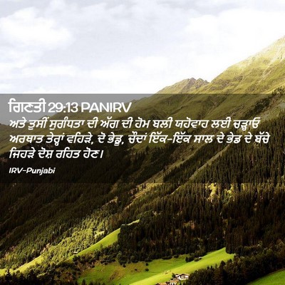 Picture 02 - ਗਿਣਤੀ 29:13 PANIRV - ਅਤੇ ਤੁਸੀਂ ਸੁਗੰਧਤਾ - Bible Verse Picture