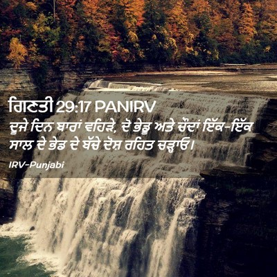 Picture 02 - ਗਿਣਤੀ 29:17 PANIRV - ਦੂਜੇ ਦਿਨ ਬਾਰਾਂ - Bible Verse Picture
