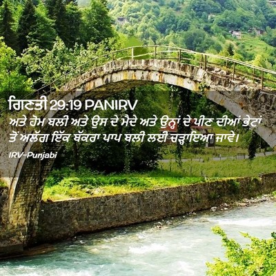 Picture 02 - ਗਿਣਤੀ 29:19 PANIRV - ਅਤੇ ਹੋਮ ਬਲੀ ਅਤੇ ਉਸ - Bible Verse Picture