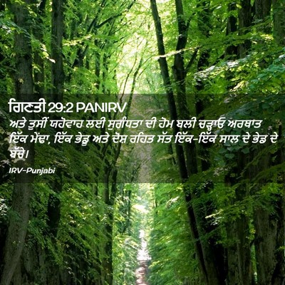 Picture 02 - ਗਿਣਤੀ 29:2 PANIRV - ਅਤੇ ਤੁਸੀਂ ਯਹੋਵਾਹ - Bible Verse Picture