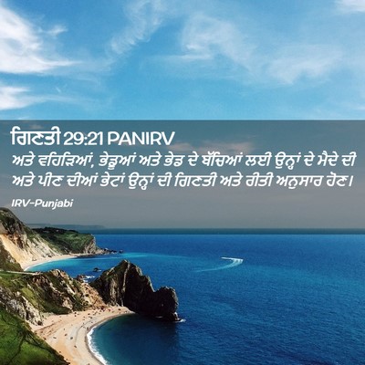 Picture 02 - ਗਿਣਤੀ 29:21 PANIRV - ਅਤੇ ਵਹਿੜਿਆਂ, - Bible Verse Picture