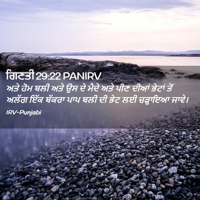 Picture 02 - ਗਿਣਤੀ 29:22 PANIRV - ਅਤੇ ਹੋਮ ਬਲੀ ਅਤੇ ਉਸ - Bible Verse Picture