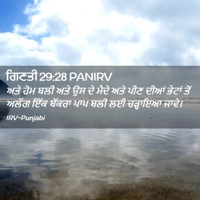 Picture 02 - ਗਿਣਤੀ 29:28 PANIRV - ਅਤੇ ਹੋਮ ਬਲੀ ਅਤੇ ਉਸ - Bible Verse Picture