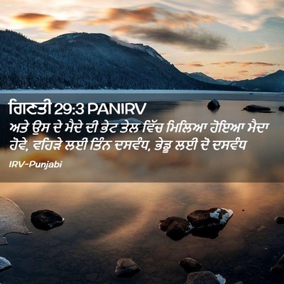 Picture 02 - ਗਿਣਤੀ 29:3 PANIRV - ਅਤੇ ਉਸ ਦੇ ਮੈਦੇ ਦੀ - Bible Verse Picture