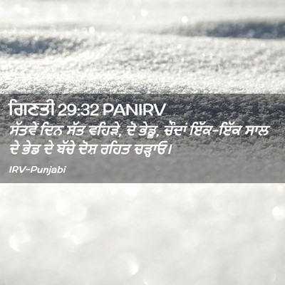 Picture 02 - ਗਿਣਤੀ 29:32 PANIRV - ਸੱਤਵੇਂ ਦਿਨ ਸੱਤ - Bible Verse Picture