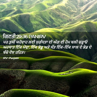 Picture 02 - ਗਿਣਤੀ 29:36 PANIRV - ਪਰ ਤੁਸੀਂ ਯਹੋਵਾਹ ਲਈ - Bible Verse Picture