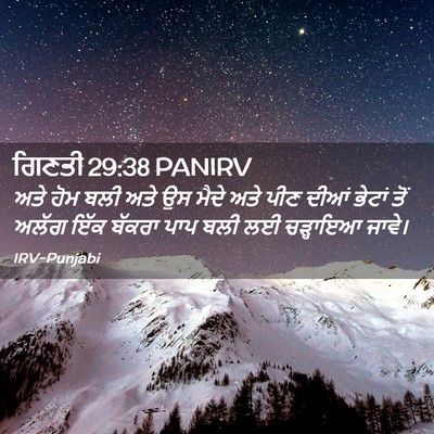 Picture 02 - ਗਿਣਤੀ 29:38 PANIRV - ਅਤੇ ਹੋਮ ਬਲੀ ਅਤੇ ਉਸ - Bible Verse Picture