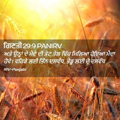 Picture 02 - ਗਿਣਤੀ 29:9 PANIRV - ਅਤੇ ਉਨ੍ਹਾਂ ਦੇ ਮੈਦੇ - Bible Verse Picture