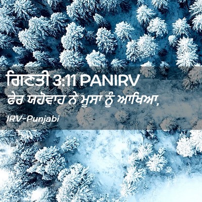 Picture 02 - ਗਿਣਤੀ 3:11 PANIRV - ਫੇਰ ਯਹੋਵਾਹ ਨੇ ਮੂਸਾ - Bible Verse Picture