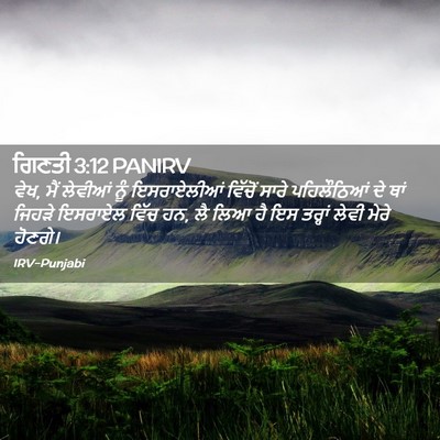 Picture 02 - ਗਿਣਤੀ 3:12 PANIRV - ਵੇਖ, ਮੈਂ ਲੇਵੀਆਂ ਨੂੰ - Bible Verse Picture