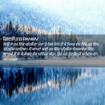 Picture 02 - ਗਿਣਤੀ 3:13 PANIRV - ਕਿਉਂ ਜੋ ਹਰ ਇੱਕ - Bible Verse Picture