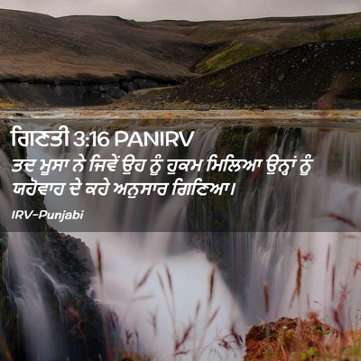 Picture 02 - ਗਿਣਤੀ 3:16 PANIRV - ਤਦ ਮੂਸਾ ਨੇ ਜਿਵੇਂ ਉਹ - Bible Verse Picture