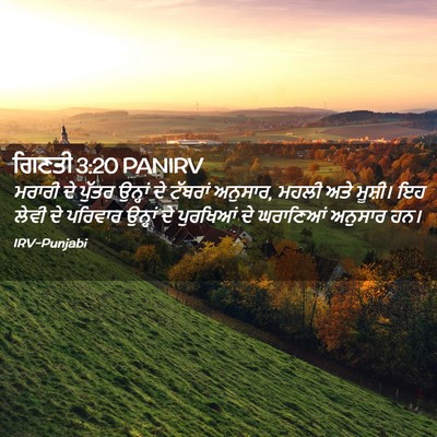 Picture 02 - ਗਿਣਤੀ 3:20 PANIRV - ਮਰਾਰੀ ਦੇ ਪੁੱਤਰ - Bible Verse Picture