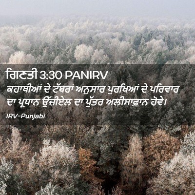 Picture 02 - ਗਿਣਤੀ 3:30 PANIRV - ਕਹਾਥੀਆਂ ਦੇ ਟੱਬਰਾਂ - Bible Verse Picture