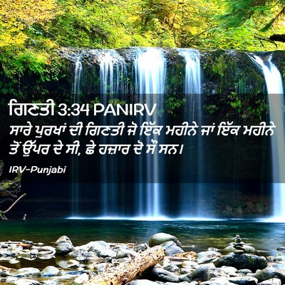Picture 02 - ਗਿਣਤੀ 3:34 PANIRV - ਸਾਰੇ ਪੁਰਖਾਂ ਦੀ - Bible Verse Picture