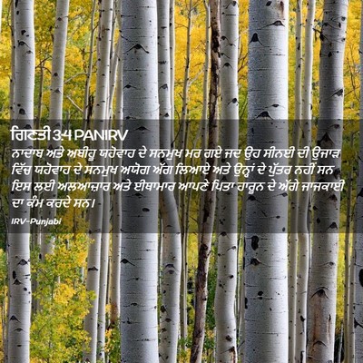 Picture 02 - ਗਿਣਤੀ 3:4 PANIRV - ਨਾਦਾਬ ਅਤੇ ਅਬੀਹੂ - Bible Verse Picture