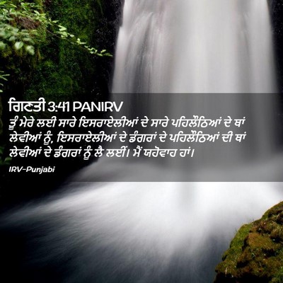 Picture 02 - ਗਿਣਤੀ 3:41 PANIRV - ਤੂੰ ਮੇਰੇ ਲਈ ਸਾਰੇ - Bible Verse Picture