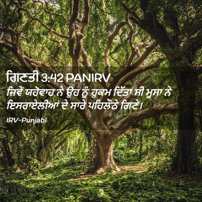 Picture 02 - ਗਿਣਤੀ 3:42 PANIRV - ਜਿਵੇਂ ਯਹੋਵਾਹ ਨੇ ਉਹ - Bible Verse Picture