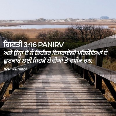 Picture 02 - ਗਿਣਤੀ 3:46 PANIRV - ਅਤੇ ਉਨ੍ਹਾਂ ਦੋ ਸੌ - Bible Verse Picture
