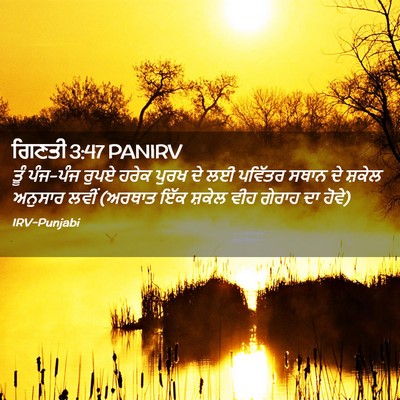 Picture 02 - ਗਿਣਤੀ 3:47 PANIRV - ਤੂੰ ਪੰਜ-ਪੰਜ ਰੁਪਏ - Bible Verse Picture