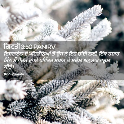 Picture 02 - ਗਿਣਤੀ 3:50 PANIRV - ਇਸਰਾਏਲ ਦੇ - Bible Verse Picture