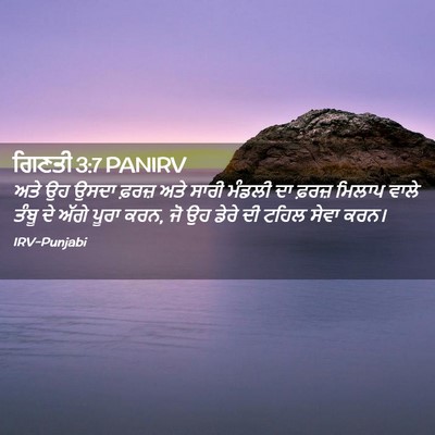 Picture 02 - ਗਿਣਤੀ 3:7 PANIRV - ਅਤੇ ਉਹ ਉਸਦਾ ਫ਼ਰਜ਼ - Bible Verse Picture