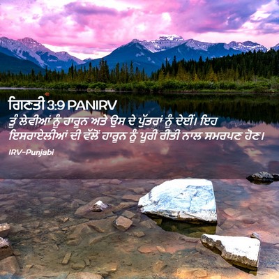 Picture 02 - ਗਿਣਤੀ 3:9 PANIRV - ਤੂੰ ਲੇਵੀਆਂ ਨੂੰ - Bible Verse Picture