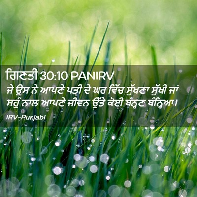 Picture 02 - ਗਿਣਤੀ 30:10 PANIRV - ਜੇ ਉਸ ਨੇ ਆਪਣੇ ਪਤੀ - Bible Verse Picture