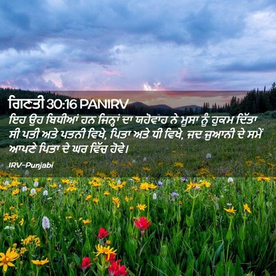 Picture 02 - ਗਿਣਤੀ 30:16 PANIRV - ਇਹ ਉਹ ਬਿਧੀਆਂ ਹਨ - Bible Verse Picture