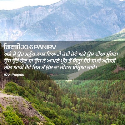 Picture 02 - ਗਿਣਤੀ 30:6 PANIRV - ਅਤੇ ਜੇ ਉਹ ਮਨੁੱਖ ਨਾਲ - Bible Verse Picture