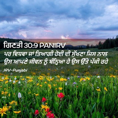 Picture 02 - ਗਿਣਤੀ 30:9 PANIRV - ਪਰ ਵਿਧਵਾ ਜਾਂ ਤਿਆਗੀ - Bible Verse Picture