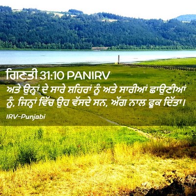 Picture 02 - ਗਿਣਤੀ 31:10 PANIRV - ਅਤੇ ਉਨ੍ਹਾਂ ਦੇ ਸਾਰੇ - Bible Verse Picture