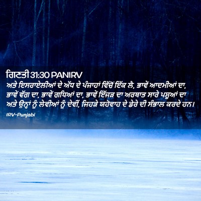 Picture 02 - ਗਿਣਤੀ 31:30 PANIRV - ਅਤੇ ਇਸਰਾਏਲੀਆਂ ਦੇ - Bible Verse Picture