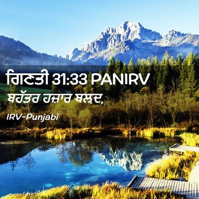 Picture 02 - ਗਿਣਤੀ 31:33 PANIRV - ਬਹੱਤਰ ਹਜ਼ਾਰ - Bible Verse Picture
