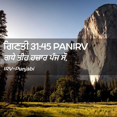 Picture 02 - ਗਿਣਤੀ 31:45 PANIRV - ਗਧੇ ਤੀਹ ਹਜ਼ਾਰ ਪੰਜ - Bible Verse Picture
