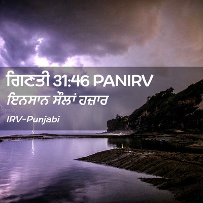 Picture 02 - ਗਿਣਤੀ 31:46 PANIRV - ਇਨਸਾਨ ਸੌਲਾਂ - Bible Verse Picture