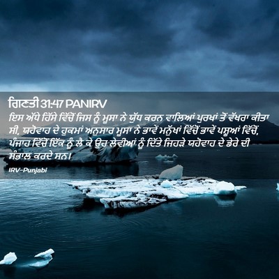 Picture 02 - ਗਿਣਤੀ 31:47 PANIRV - ਇਸ ਅੱਧੇ ਹਿੱਸੇ - Bible Verse Picture