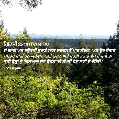 Picture 02 - ਗਿਣਤੀ 32:29 PANIRV - ਜੇ ਗਾਦੀ ਅਤੇ ਰਊਬੇਨੀ - Bible Verse Picture