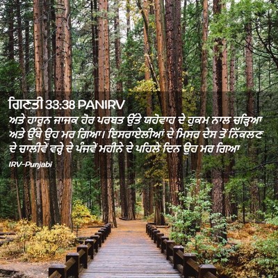 Picture 02 - ਗਿਣਤੀ 33:38 PANIRV - ਅਤੇ ਹਾਰੂਨ ਜਾਜਕ ਹੋਰ - Bible Verse Picture