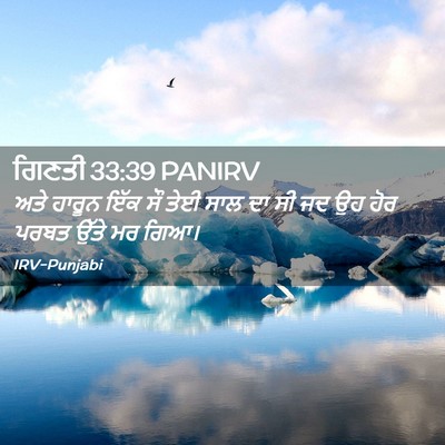 Picture 02 - ਗਿਣਤੀ 33:39 PANIRV - ਅਤੇ ਹਾਰੂਨ ਇੱਕ ਸੌ - Bible Verse Picture