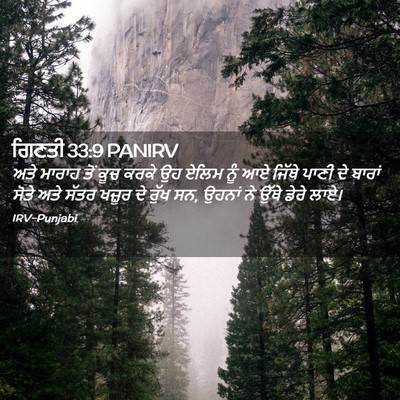 Picture 02 - ਗਿਣਤੀ 33:9 PANIRV - ਅਤੇ ਮਾਰਾਹ ਤੋਂ ਕੂਚ - Bible Verse Picture