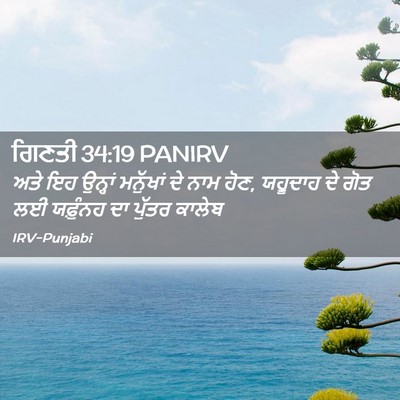 Picture 02 - ਗਿਣਤੀ 34:19 PANIRV - ਅਤੇ ਇਹ ਉਨ੍ਹਾਂ - Bible Verse Picture