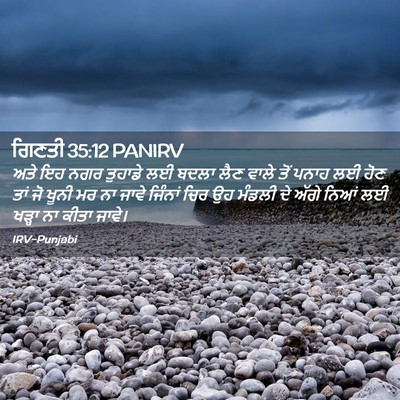 Picture 02 - ਗਿਣਤੀ 35:12 PANIRV - ਅਤੇ ਇਹ ਨਗਰ ਤੁਹਾਡੇ - Bible Verse Picture