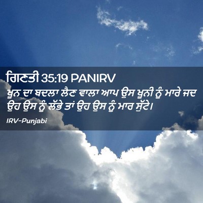 Picture 02 - ਗਿਣਤੀ 35:19 PANIRV - ਖੂਨ ਦਾ ਬਦਲਾ ਲੈਣ - Bible Verse Picture