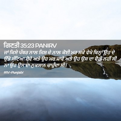 Picture 02 - ਗਿਣਤੀ 35:23 PANIRV - ਜਾਂ ਕਿਸੇ ਪੱਥਰ ਨਾਲ - Bible Verse Picture