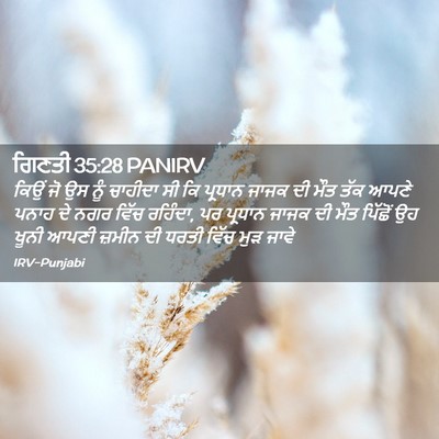 Picture 02 - ਗਿਣਤੀ 35:28 PANIRV - ਕਿਉਂ ਜੋ ਉਸ ਨੂੰ - Bible Verse Picture