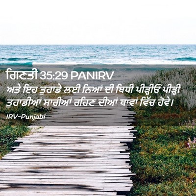 Picture 02 - ਗਿਣਤੀ 35:29 PANIRV - ਅਤੇ ਇਹ ਤੁਹਾਡੇ ਲਈ - Bible Verse Picture