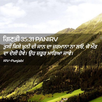Picture 02 - ਗਿਣਤੀ 35:31 PANIRV - ਤੁਸੀਂ ਕਿਸੇ ਖੂਨੀ ਦੀ - Bible Verse Picture