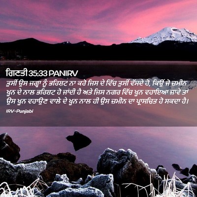 Picture 02 - ਗਿਣਤੀ 35:33 PANIRV - ਤੁਸੀਂ ਉਸ ਜਗ੍ਹਾ ਨੂੰ - Bible Verse Picture